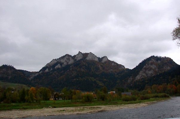 Obraz