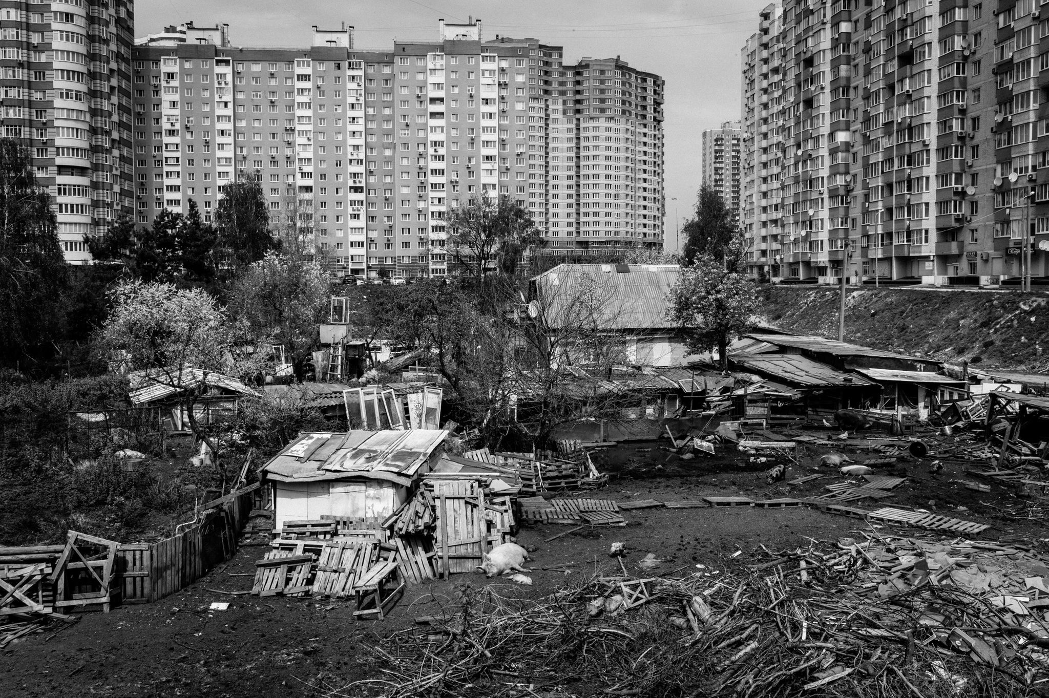Najlepsze zdjęcia nagrodzone w konkursie Grand Press Photo 2014 [galeria] 15