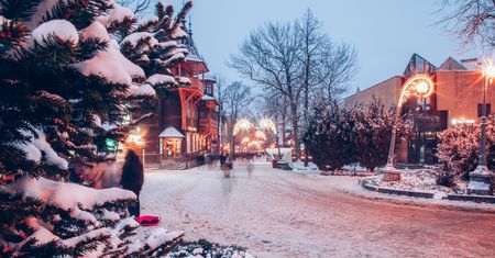Ma pensjonat na Podhalu, nawet się nie otworzył. "Jest załamany"