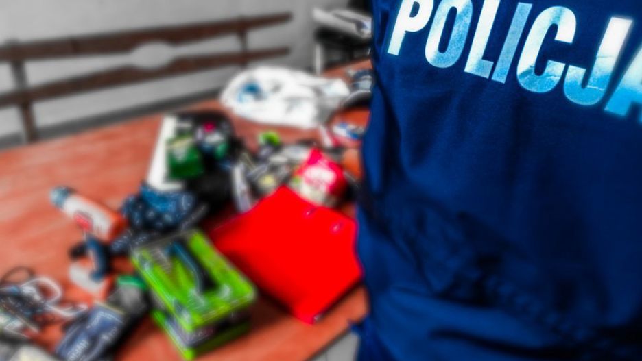 Zabrze. Sześciu nastolatków odpowie za okradanie altanek.