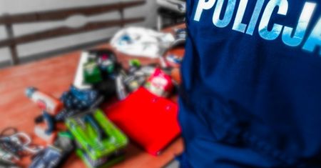 Zabrze. Specjalizowali się w okradaniu ogródków działkowych. Dostali 40 zarzutów