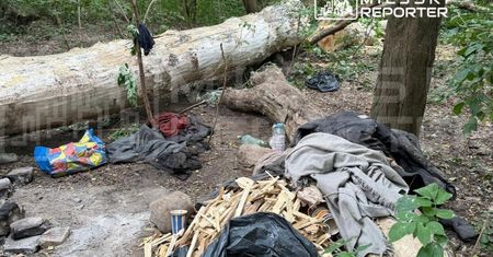 Drzewo przygniotło bezdomnego w dzikim obozowisku leśnym. Mężczyzna zginął na miejscu