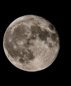 Pełnia Różowego Księżyca. Niezwykłe zjawisko na niebie