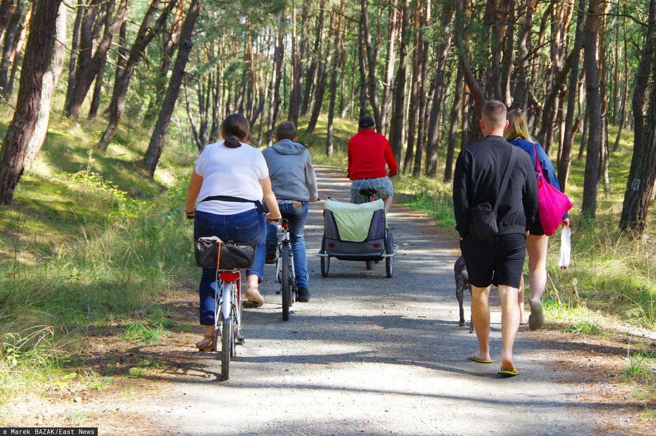 Groźny wypadek na ścieżce rowerowej. Ludzie rzucili się na pomoc