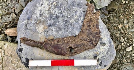 Niezwykłe odkrycie u wybrzeży Szkocji. Porównywane jest do ''szkockich Pompei''
