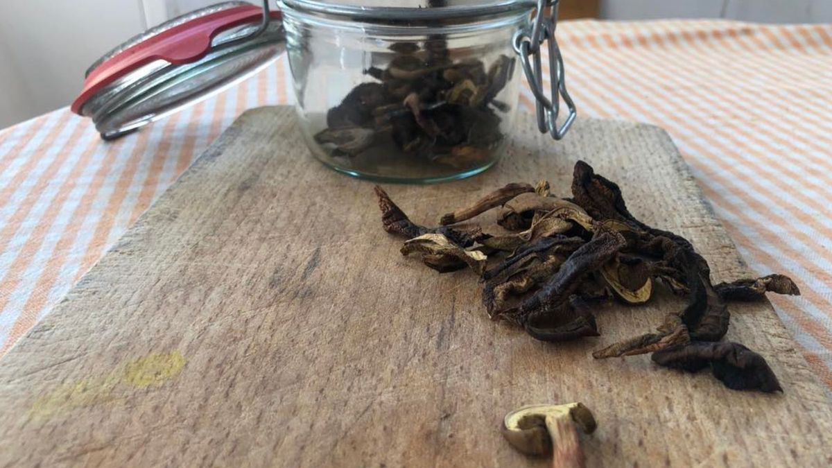 Ruszyła sprzedaż suszonych grzybów w sieci