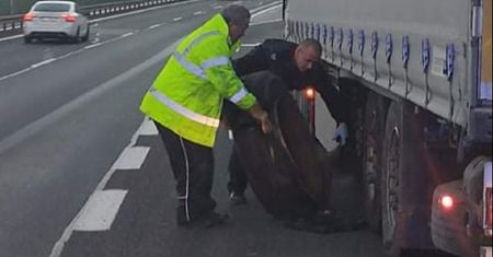 Kierowca ciężarówki przeżył dramat. Pomogła mu policja