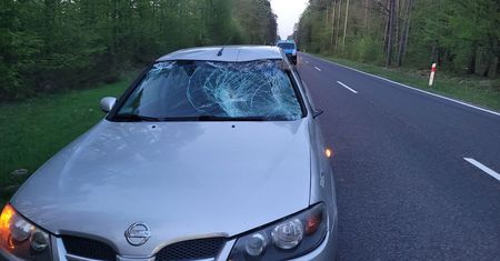 To spotkanie mogło się skończyć tragicznie. Ważny apel policjantów