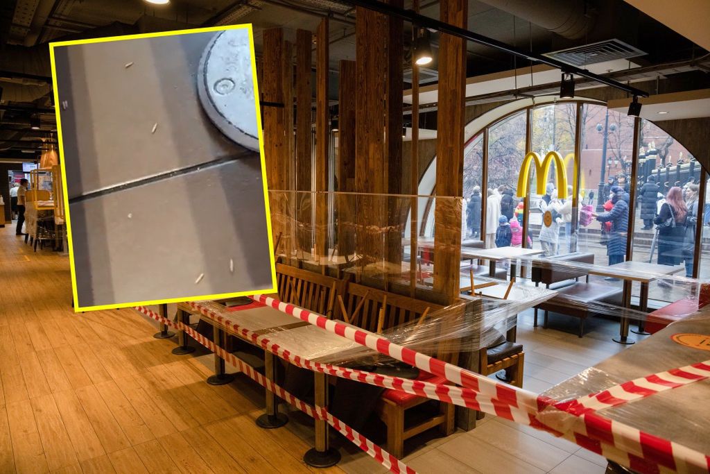 Larwy spadały z sufitu w McDonald's. Klienci uciekali w popłochu