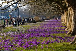 Kiedy apogeum ciepła? Synoptyk odpowiada