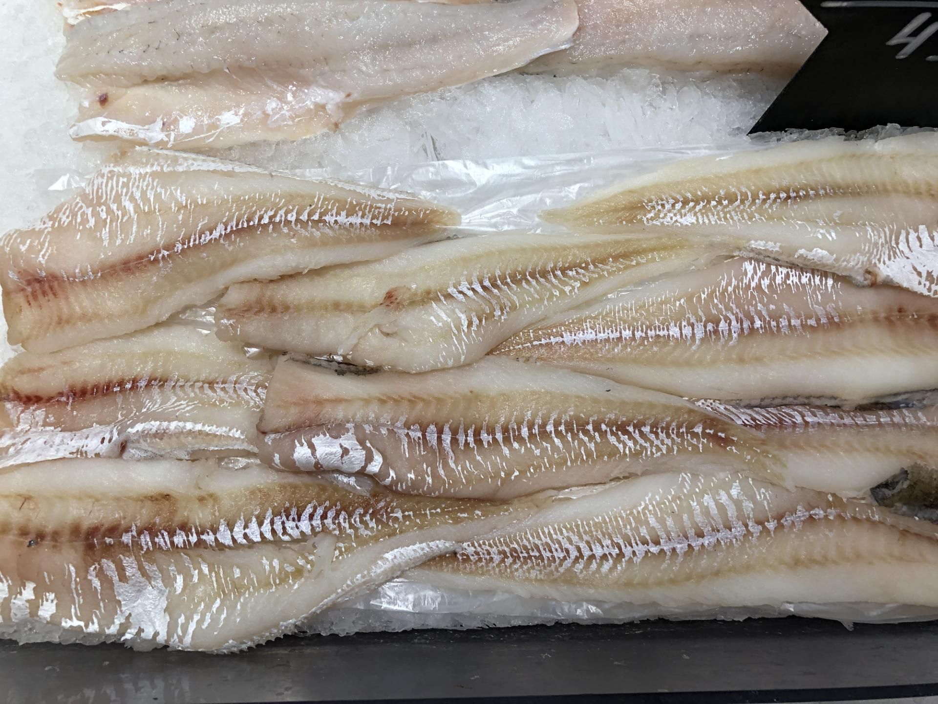 Ryby to bogactwo witaminy z grupy B