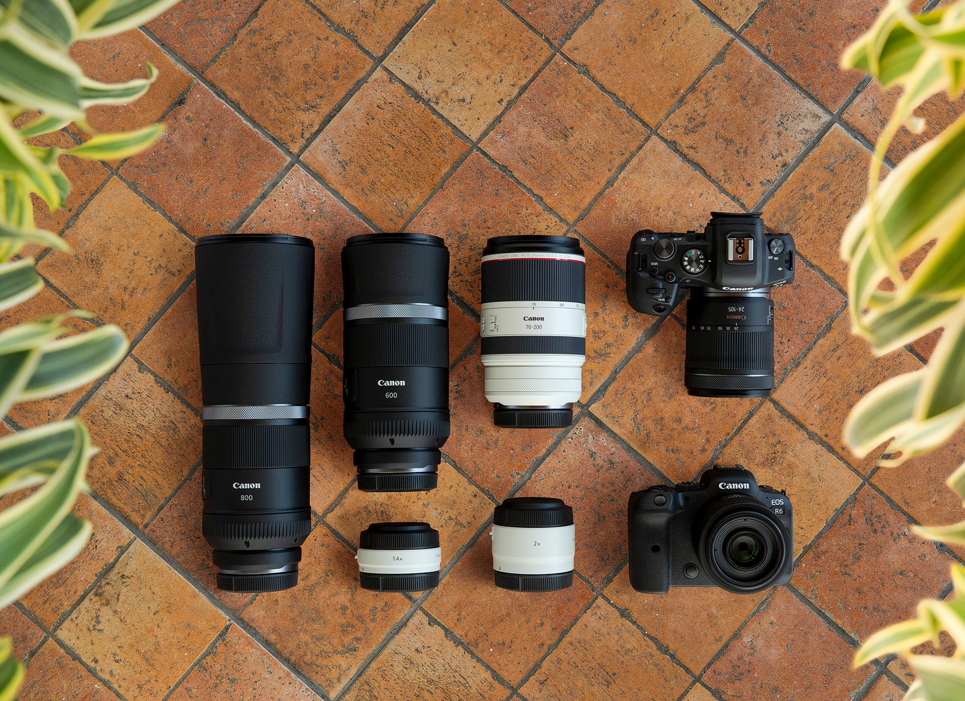 Canon EOS R5 oraz Canon EOS R6: Bezlusterkowce zdefiniowane na nowo 13