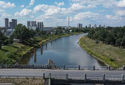 Nagły wzrost poziomu Odry mimo suszy? Jest komunikat Wód Polskich