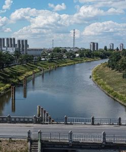 Nagły wzrost poziomu Odry mimo suszy? Jest komunikat Wód Polskich