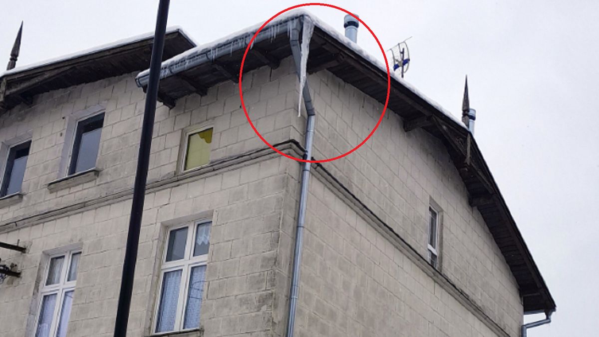 Ten sopel miał ponad metr długości