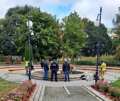 Tragedia na Pomorzu. Wpadł do fontanny, nie przeżył mimo reanimacji