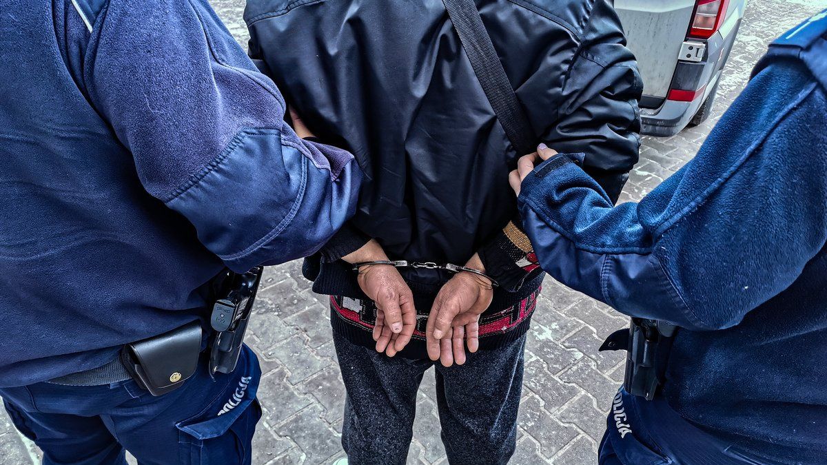 policja