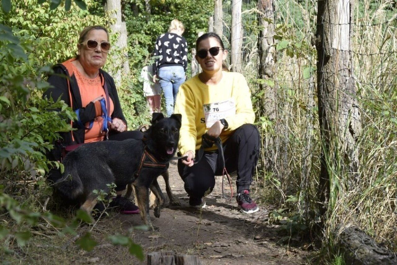 Wyjątkowy bieg w schronisku dla zwierząt. Akcję wspierają znane osoby