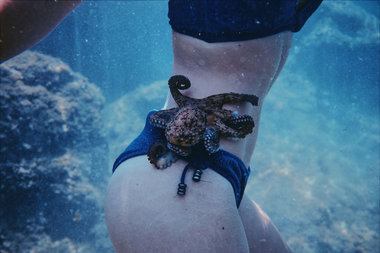 Linux 5.4 "Kleptomaniac Octopus" wydany w wersji stabilnej