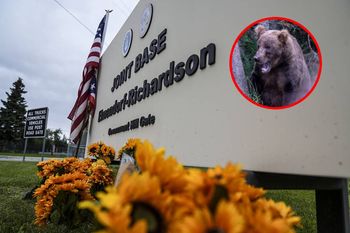 Atak w bazie wojskowej USA. Niedźwiedź zaskoczył żołnierzy