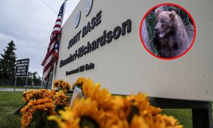 Atak w bazie wojskowej USA. Niedźwiedź zaskoczył żołnierzy