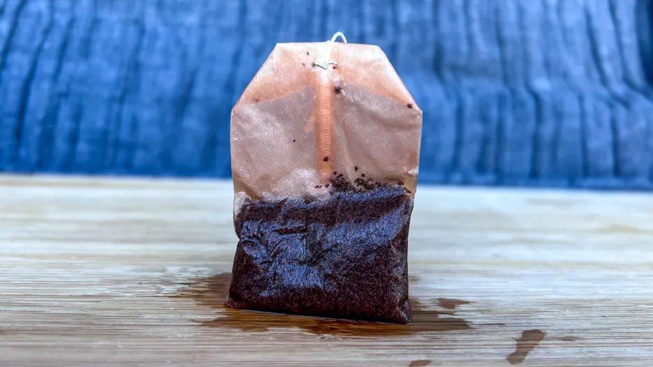 Gdzie wyrzucić torebkę po herbacie?