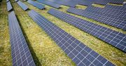 Wirtualna Polska kupiła farmę fotowoltaiczną za ponad 12 mln złotych. Wiemy, do czego będzie wykorzystywana