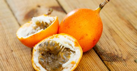 Granadilla (męczennica języczkowata). Bliska kuzynka marakui