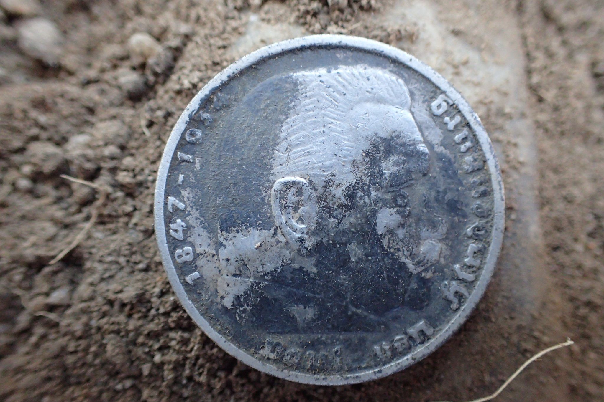 Odkrycie w Pleśnicy