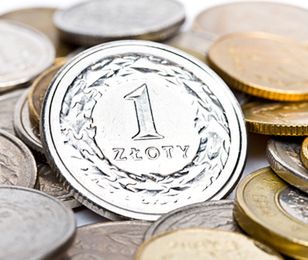 Czas na decyzję Fitch. "Spodziewam się krótkiej i niezbyt intensywnej wyprzedaży obligacji i złotego"