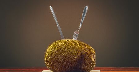 Jackfruit – gdzie kupić, jak jeść i dlaczego warto?