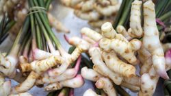 Galangal - właściwości i zastosowanie