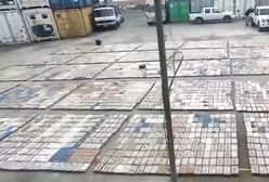 Banany kryły inny ładunek. Za 330 mln dolarów