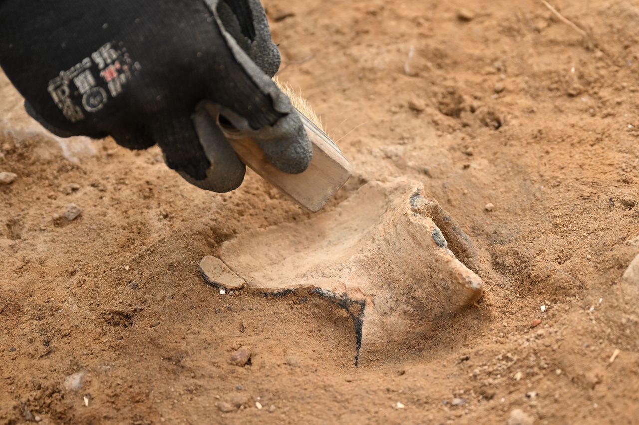 Sensacyjne odkrycie w Borkowie. Kompania reprezentacyjna wojów Mieszka I