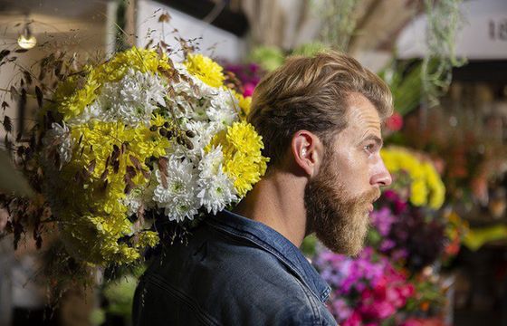 Sigma International dla producenta kwiatów Dümmen Orange