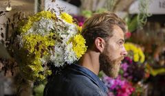 Sigma International dla producenta kwiatów Dümmen Orange