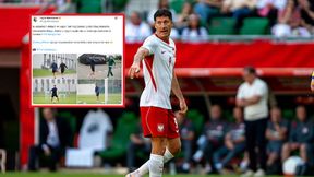 Zdjęcia obiegają sieć. Tylko spójrz, gdzie pojawił się "Lewy"