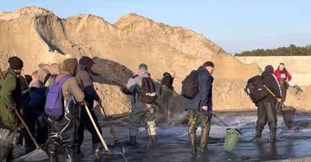 Bursztynowe Eldorado. Dziesiątki poszukiwaczy na plaży