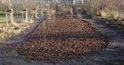 Poznań: Park Edukacji Ekologicznej zyskał kilkaset krzewów