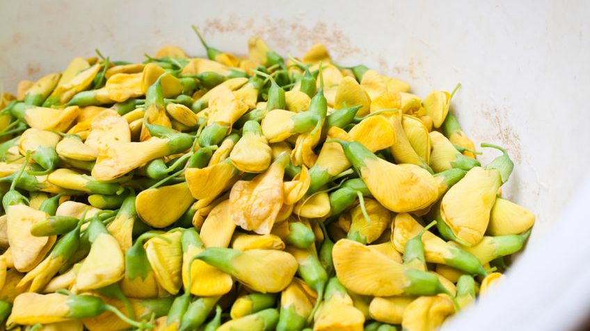 Kwiat turi gotowany na parze bez dodatku soli