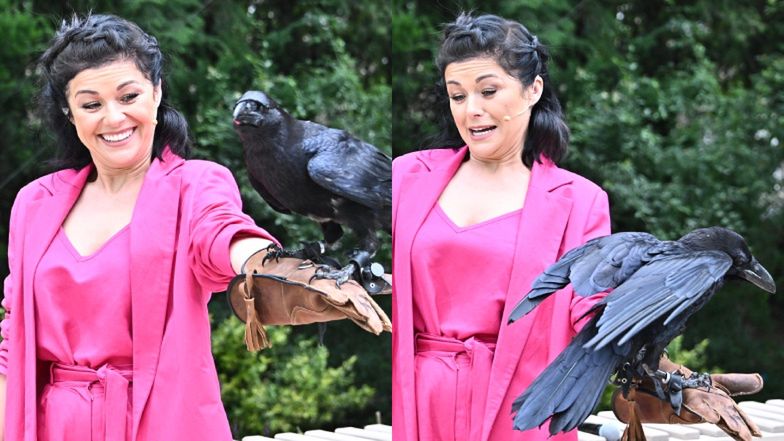 Katarzyna Cichopek i Maciej Kurzajewski