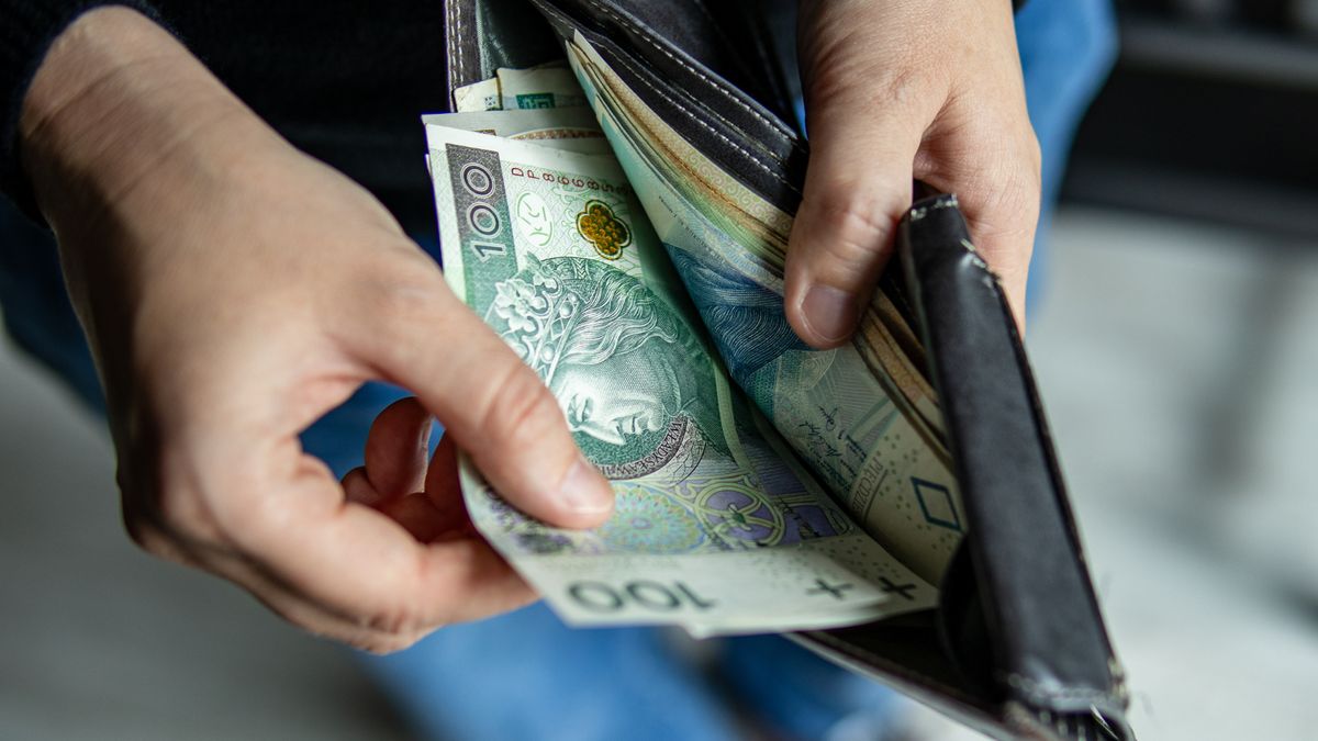 NBP poszukuje pracowników