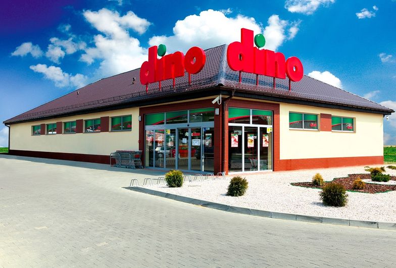 Historia Dino sięga 1999 roku, kiedy biznesmen Tomasz Biernacki, w ramach prowadzonej działalności gospodarczej, otworzył pierwszy sklep pod marką Supermarket Dino.