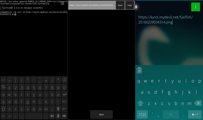 https://kyrol.mydevil.net/Sailfish/url-grabber.png