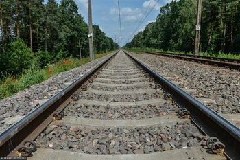 "Wybiegły z krzaków". Pociąg potrącił dwie nastolatki