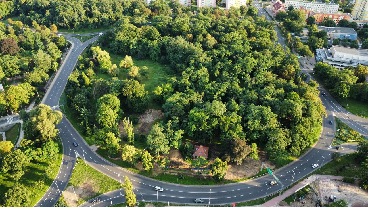 Jak pięknie w cieniu! Głogowskie parki to miejsca pełne zieleni, drzew i kwiatów, idealne na upalne dni w mieście