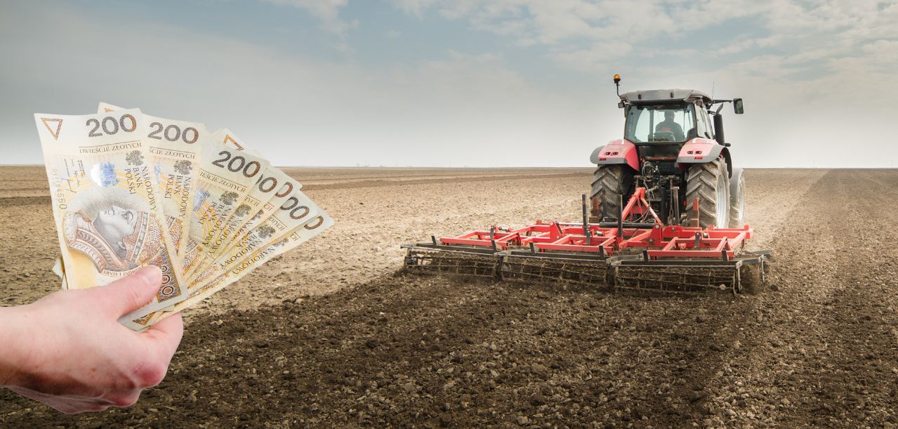 Nowe stawki płatności bezpośrednich 2025 – MRiRW zaktualizowało dopłaty dla rolników
