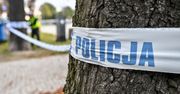 Tragedia w Warszawie. Drzewo przygniotło mężczyznę. Nie przeżył