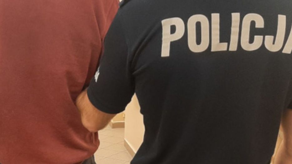 Fot. Licencjodawca
