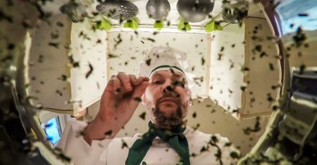 Przyprawy poprawiające pracę mózgu